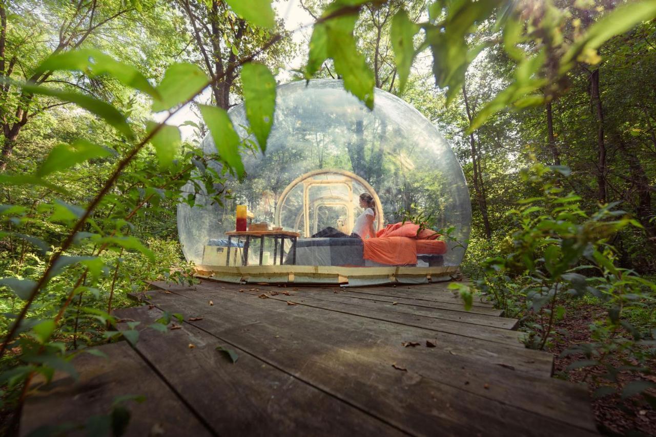 Camping Future Is Nature Playground Sala Biellese Exterior foto